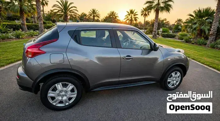 Nissan Juke 2014 photo 4