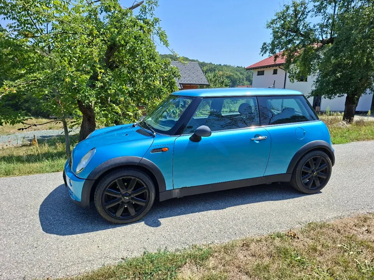 Mini Sonstige