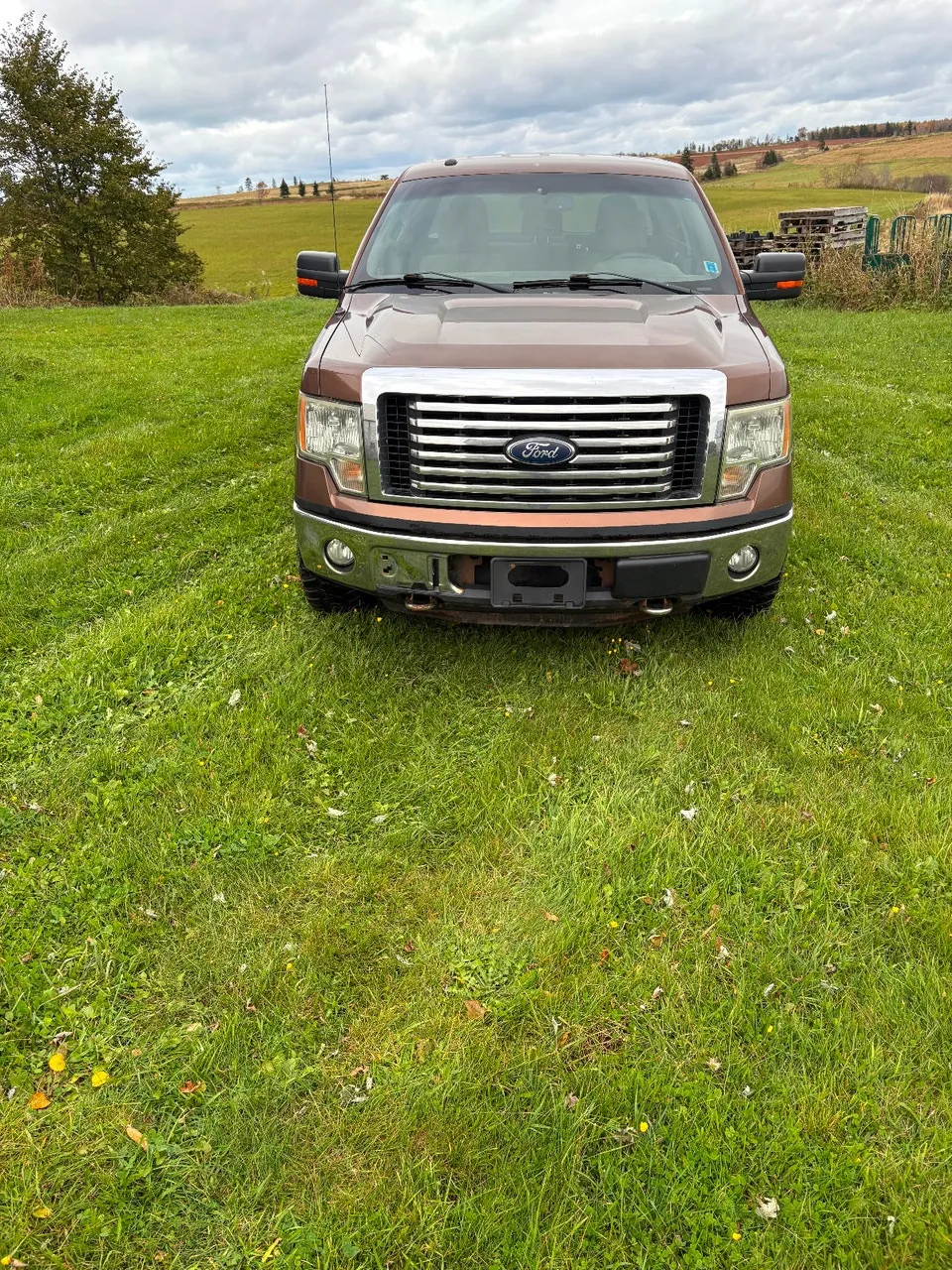 Ford F-150 2011 photo 5