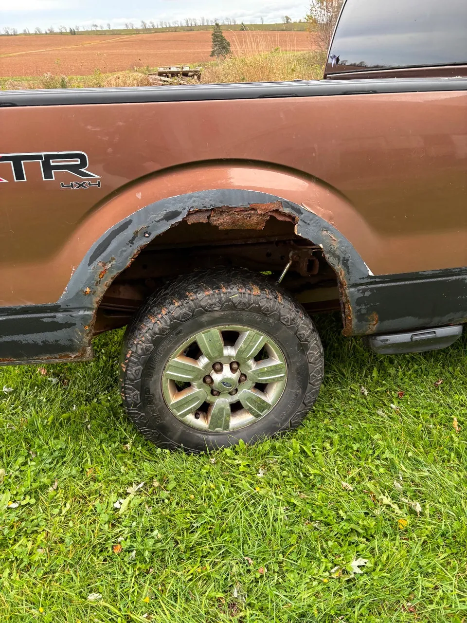 Ford F-150 2011 photo 4