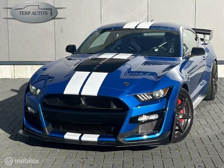 Ford Mustang Gt500 Shelby