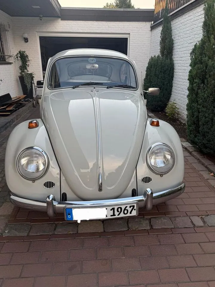 Volkswagen Käfer