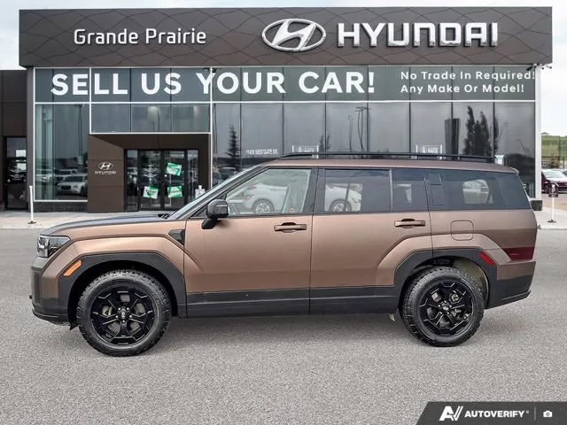 Hyundai Santa Fe 2024 photo 3