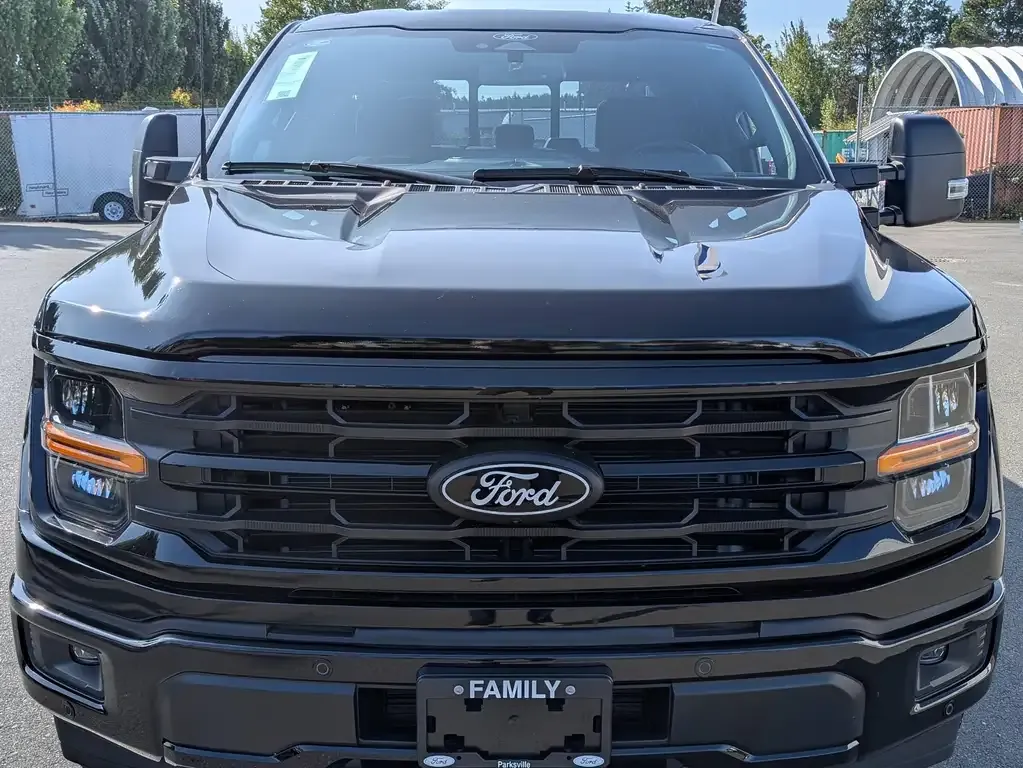 Ford F-150 2024 photo 2