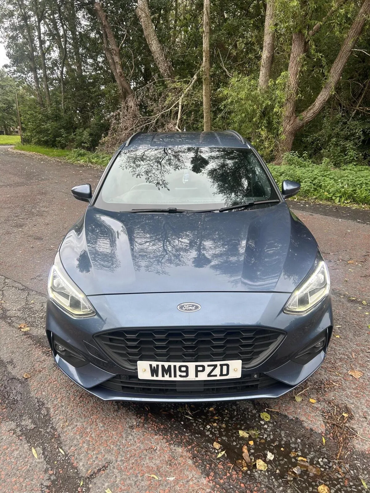 Ford Focus 2019 photo 2