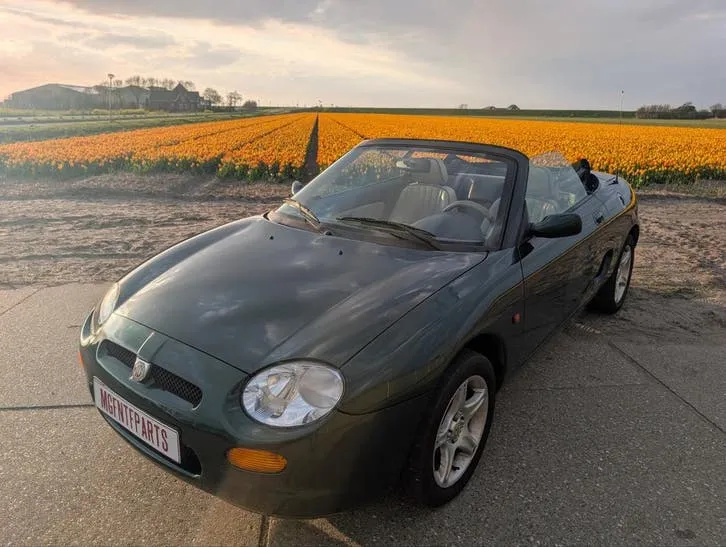 MG F