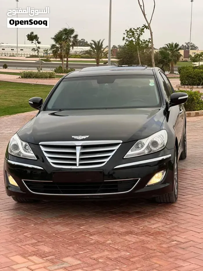 Genesis Sonata 2013 photo 5