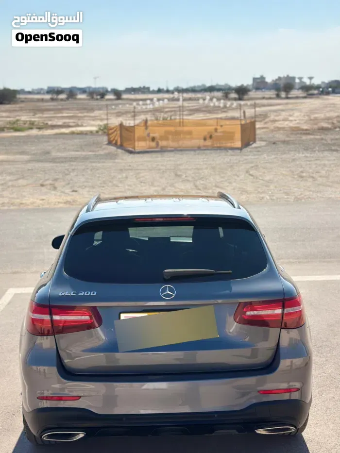 Mercedes-Benz Glc 300 2019 photo 3