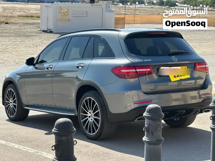 Mercedes-Benz Glc 300 2019 photo 4