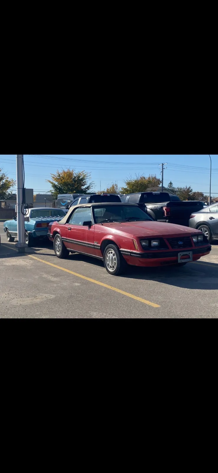 Ford Mustang 1983 photo 2
