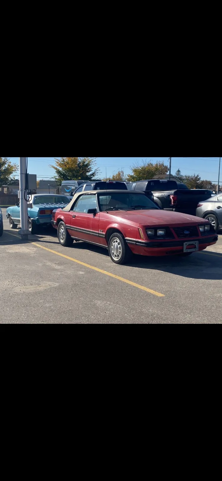 Ford Mustang 1983 photo 3