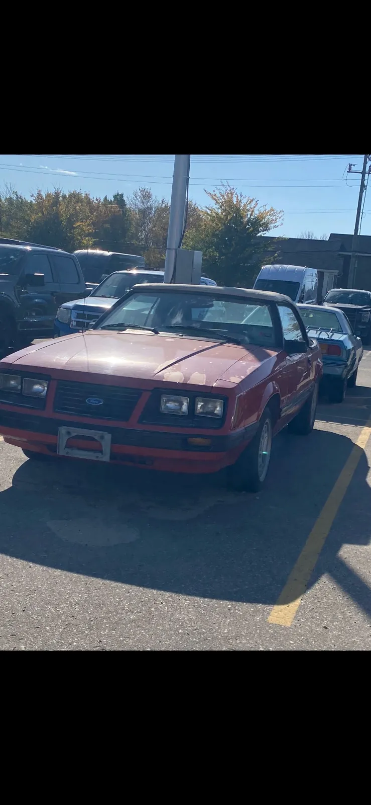 Ford Mustang 1983 photo 4