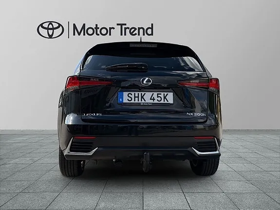 Lexus Nx300H 2019 photo 4