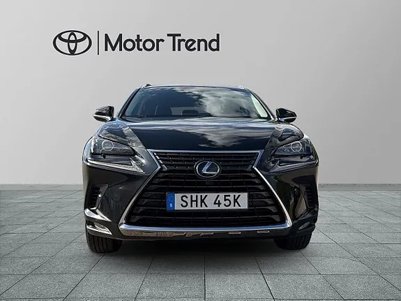 Lexus Nx300H 2019 photo 5