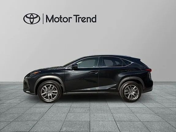 Lexus Nx300H 2019 photo 3