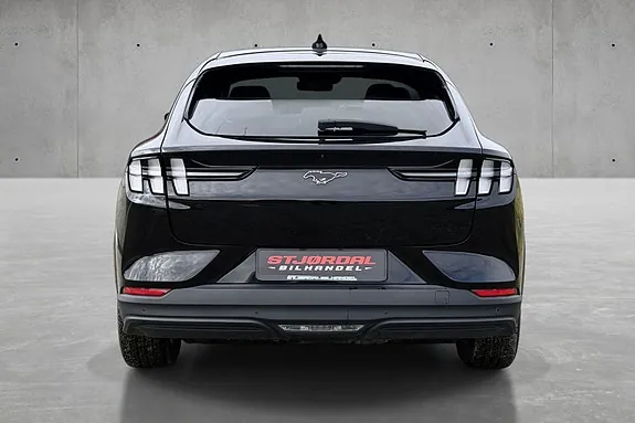 Ford Mustang Mach-E 2022 photo 4