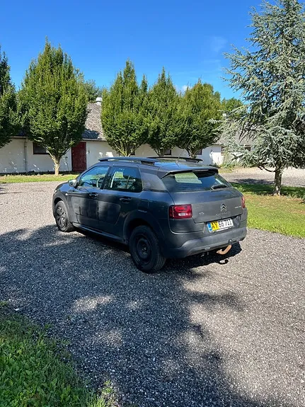 Citroen C4 Cactus 2015 photo 4