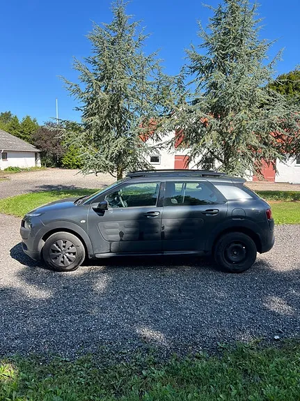 Citroen C4 Cactus 2015 photo 3