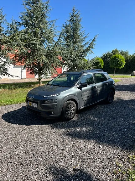 Citroen C4 Cactus 2015 photo 2