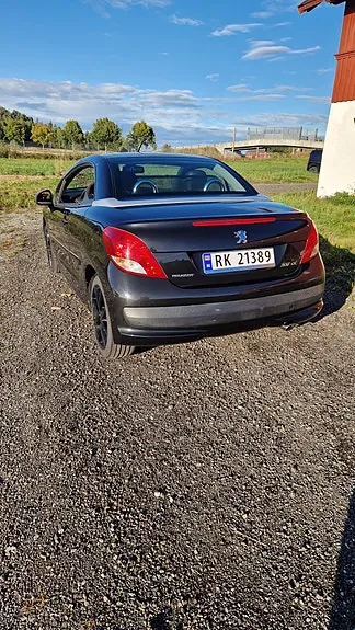 Peugeot 207 Cc 2010 photo 2