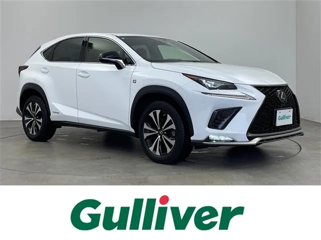 Lexus Nx 300H