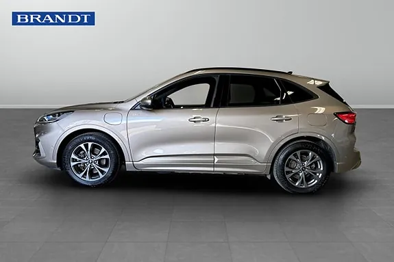 Ford Kuga 2020 photo 3