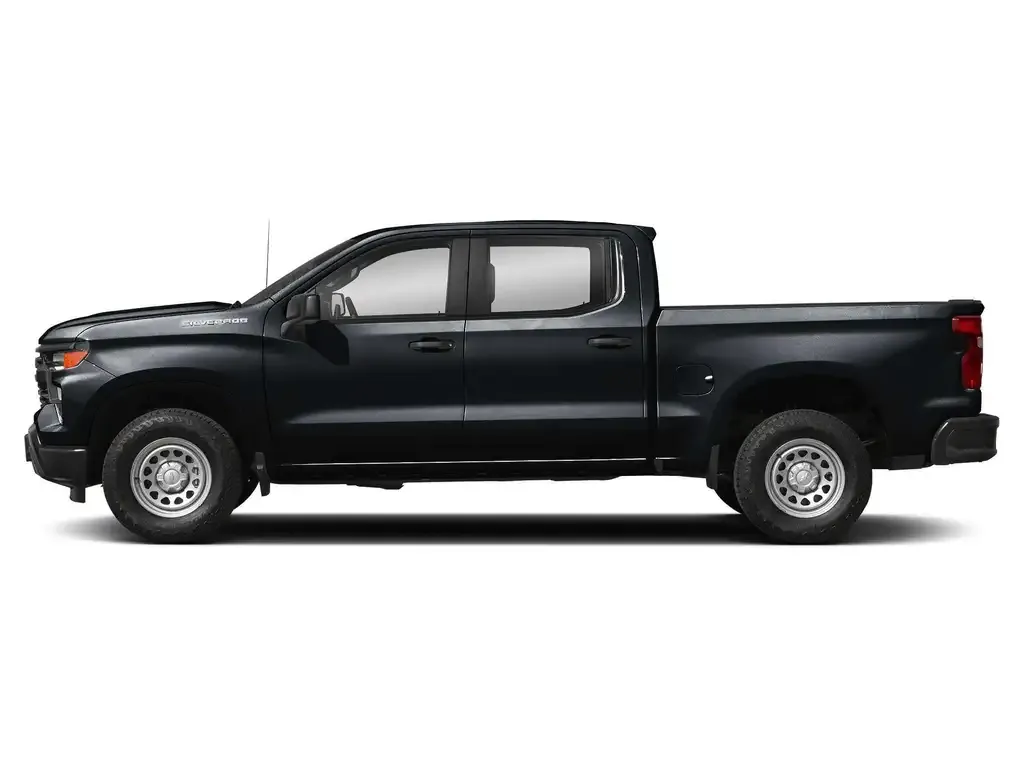 Chevrolet Silverado 1500 2022 photo 3