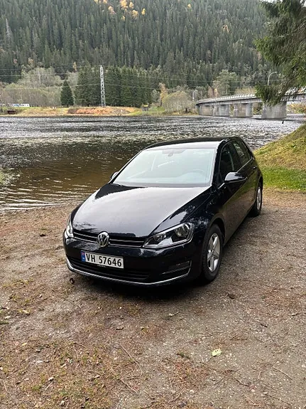 Volkswagen Golf Vii 2014 photo 2