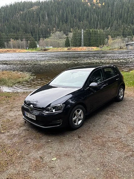 Volkswagen Golf Vii 2014 photo 4