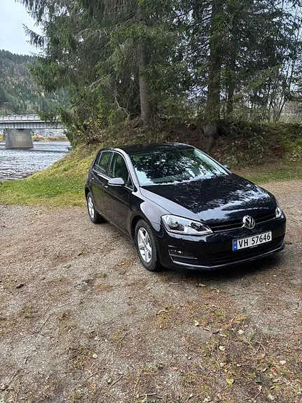 Volkswagen Golf Vii 2014 photo 3
