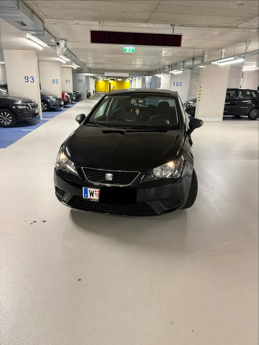 Seat Ibiza 2012 photo 2
