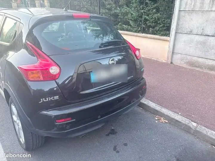 Nissan Juke 2011 photo 4