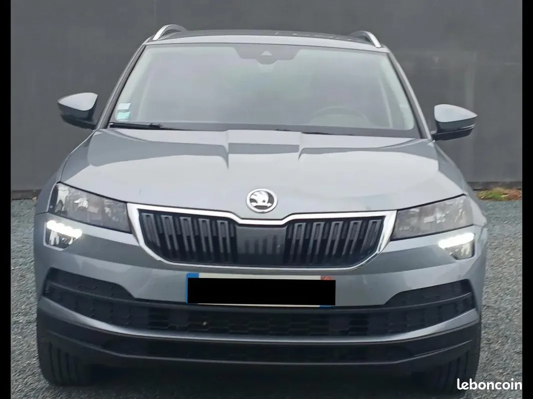 Skoda Karoq 2018 photo 2