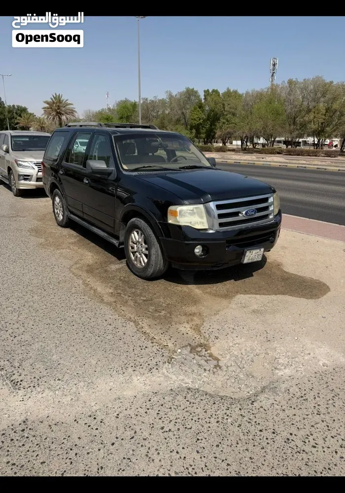 Ford Expedition 2010 photo 3