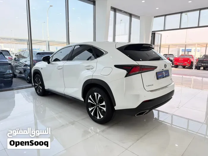 Lexus Nx 300 2020 photo 3