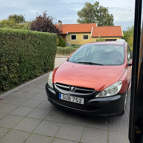 Peugeot 307 2002 photo 4