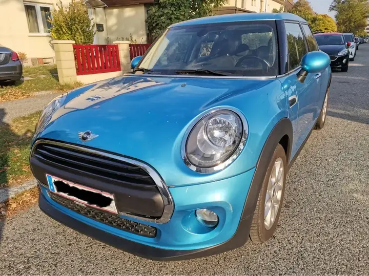 Mini Mini One