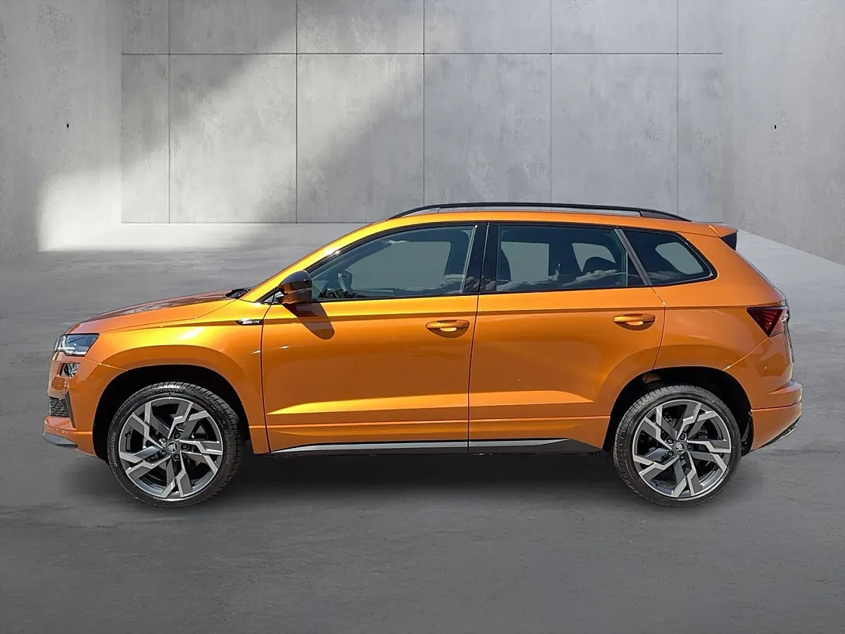 Skoda Karoq 2026 photo 2