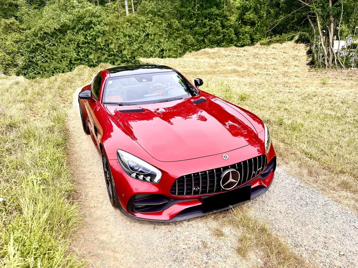 Mercedes-Benz Amg Gt C 2018 photo 3