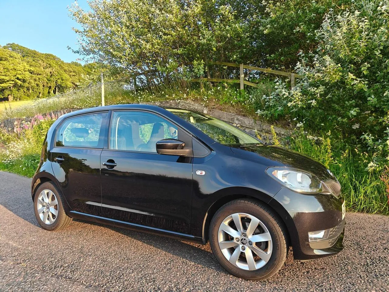 Skoda Citigo 2019 photo 2