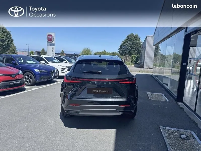 Lexus Nx 2024 photo 4