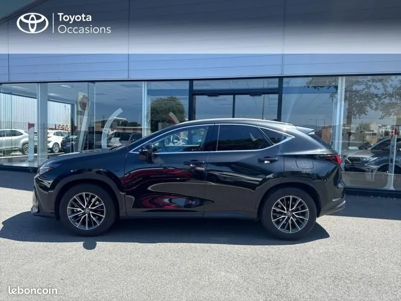 Lexus Nx 2024 photo 3