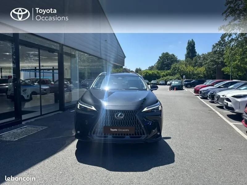Lexus Nx 2024 photo 5