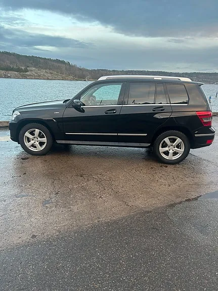Mercedes-Benz Glk220 2009 photo 3