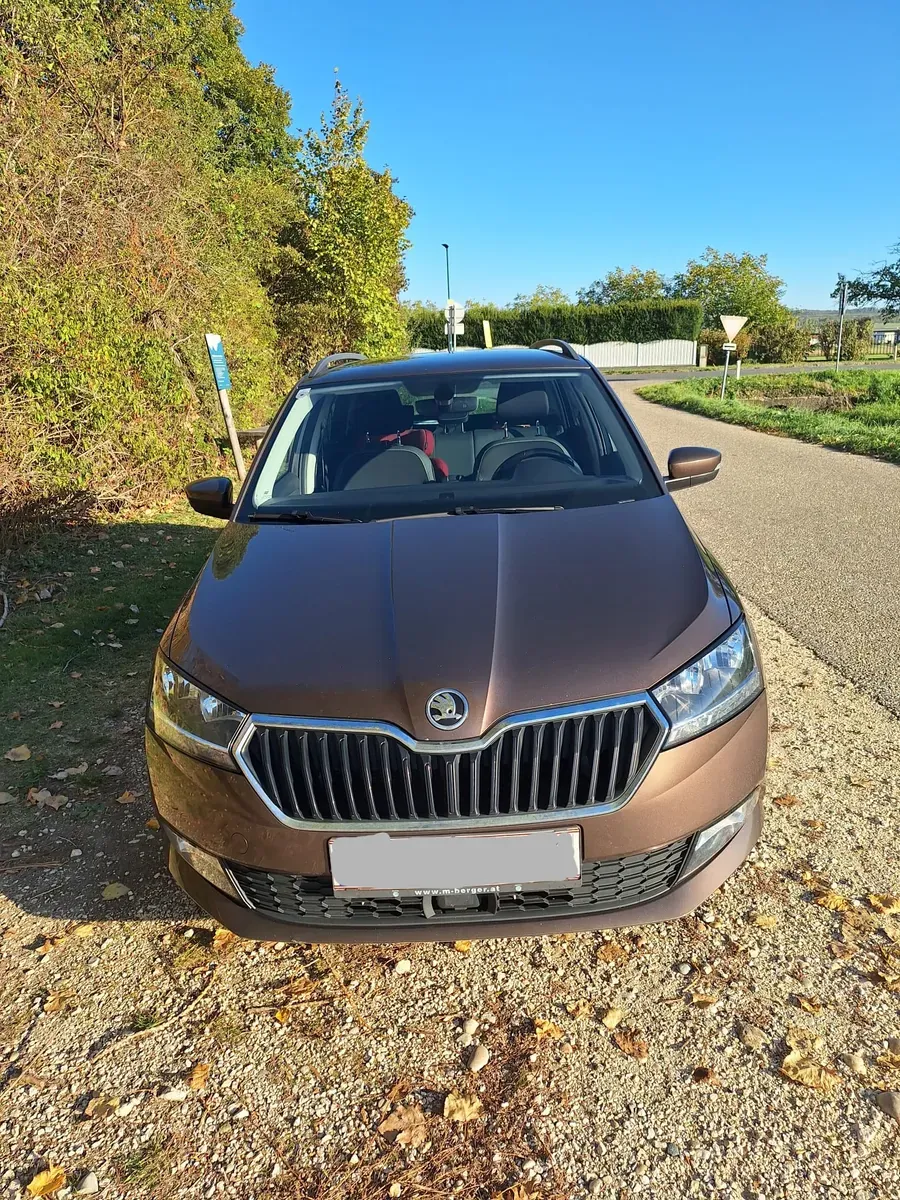Skoda Fabia 2019 photo 2