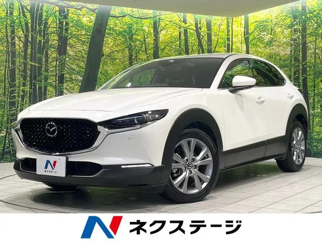 Mitsubishi Cx-30