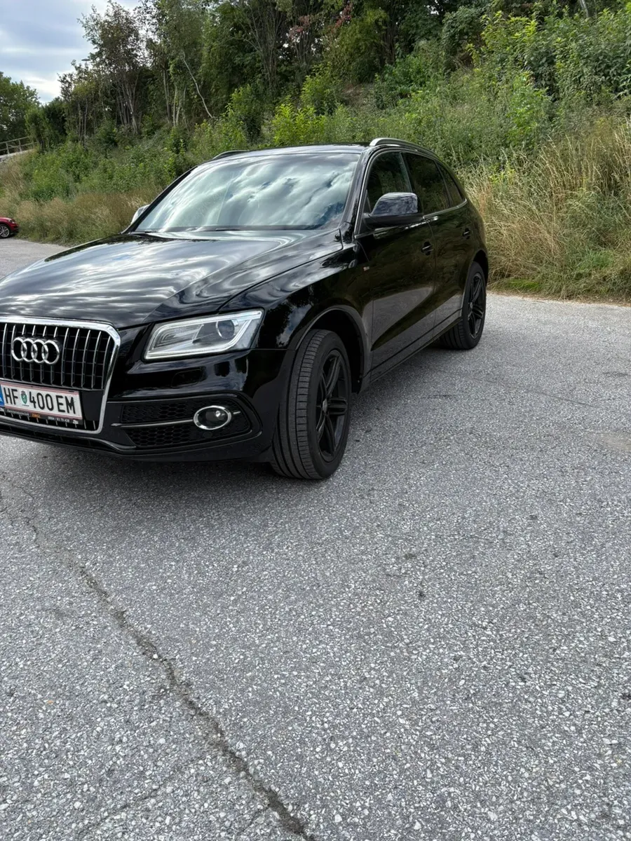 Audi Q5 2014 photo 3