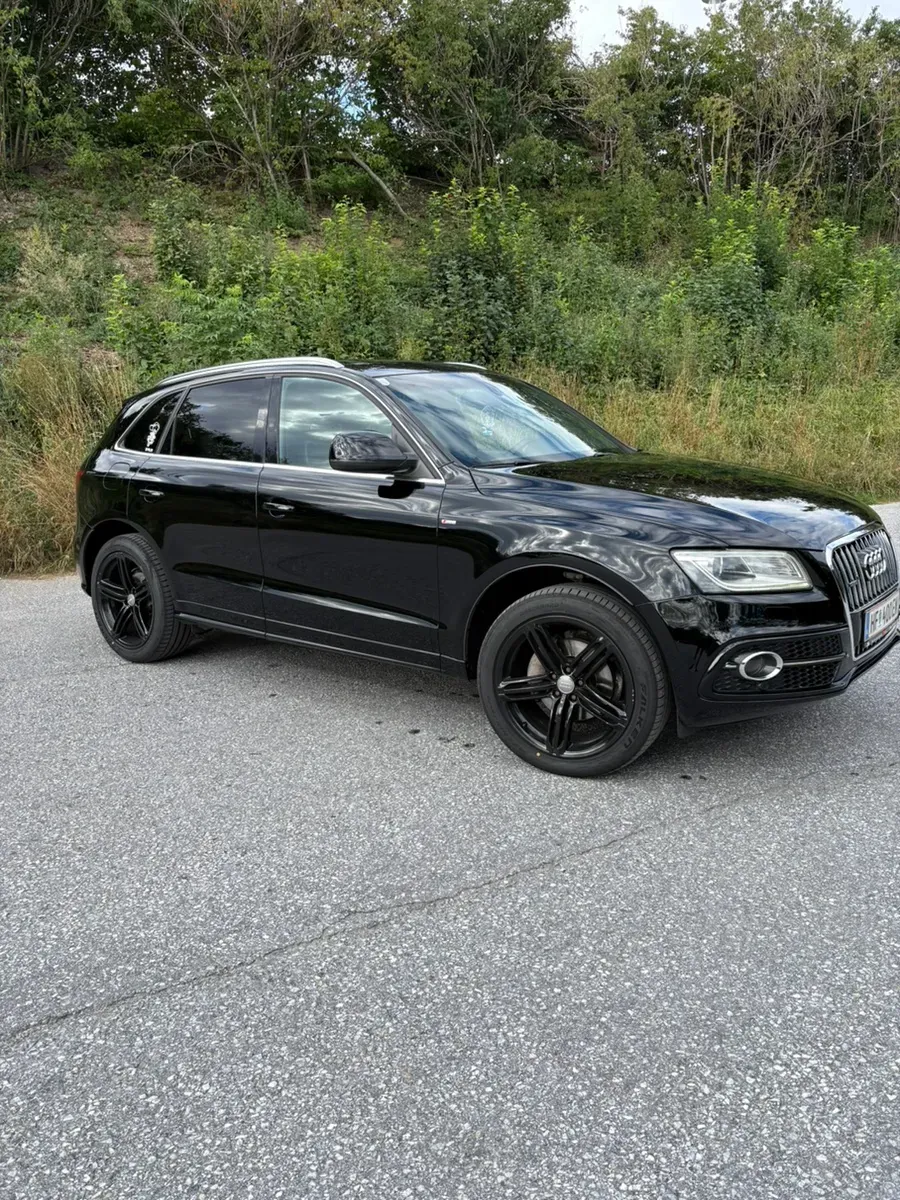 Audi Q5 2014 photo 2