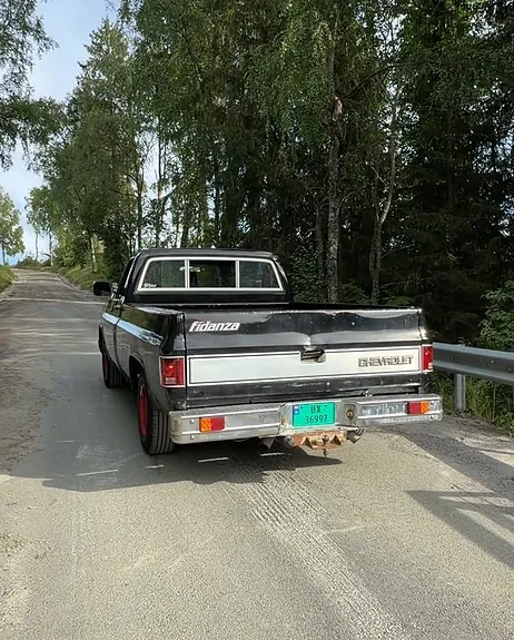 Chevrolet Silverado 1500 1982 photo 4