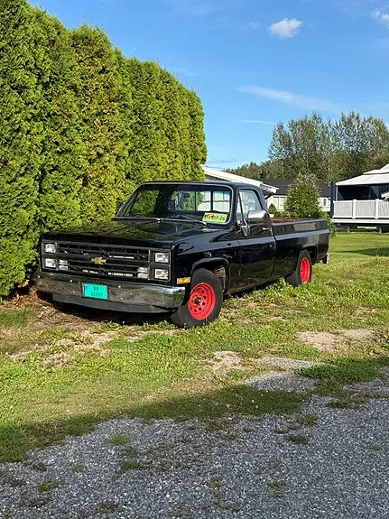 Chevrolet Silverado 1500 1982 photo 3